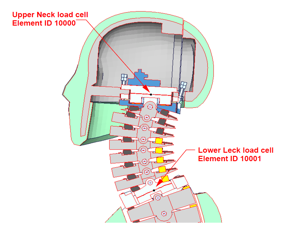 Neck_LoadCell Neck_LoadCell