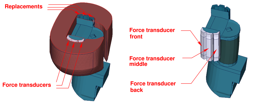 Abdominal_Forces
