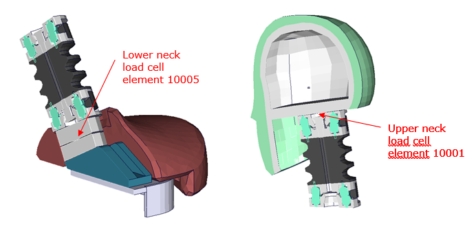 Neck_LoadCell