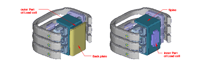 Spine_Box