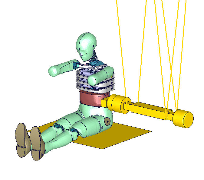 Abdomen_Certification_Test