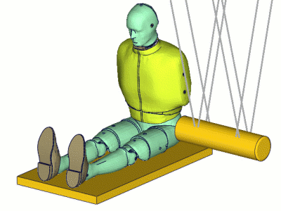 Pelvis test_01