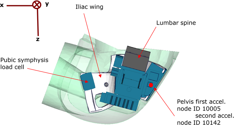 Pelvis acceleration