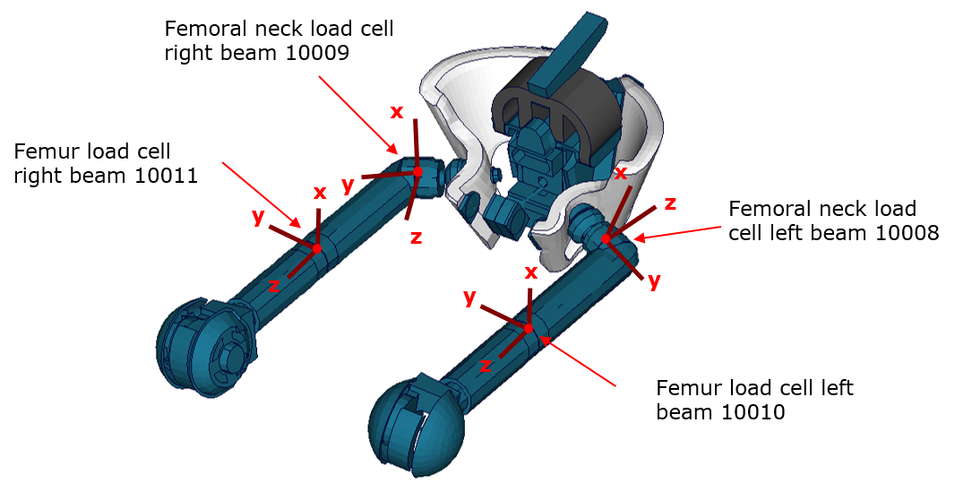 Femoral_LoadCell