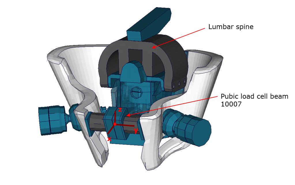 Pubic_LoadCell