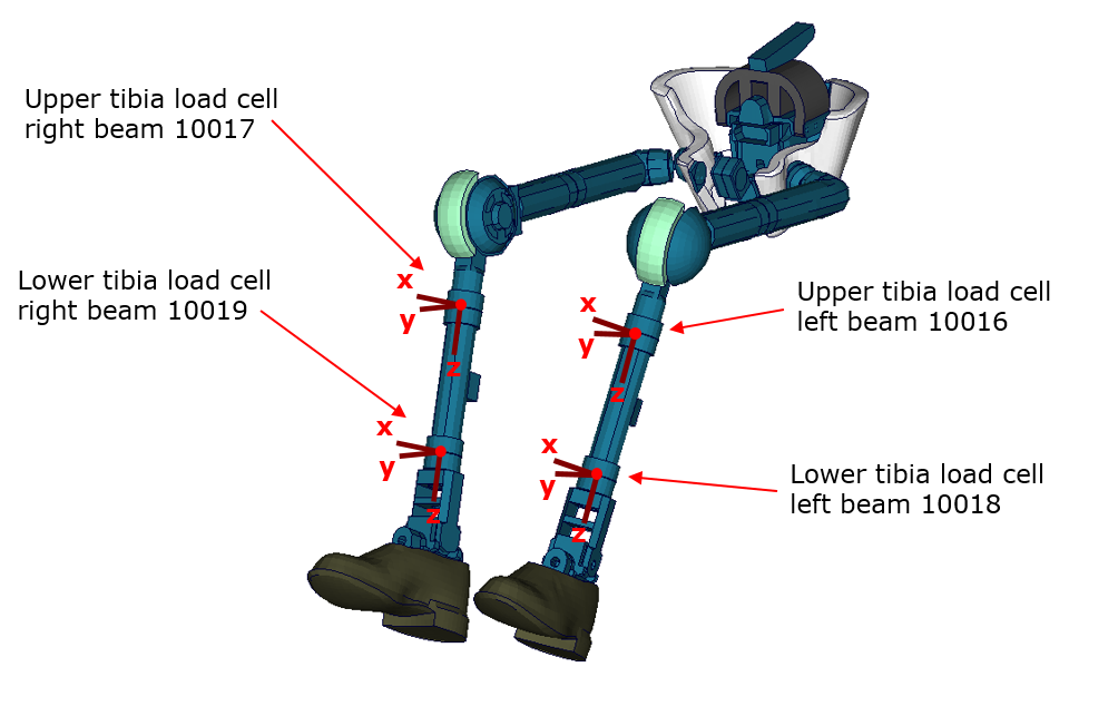 Tibia_LoadCell