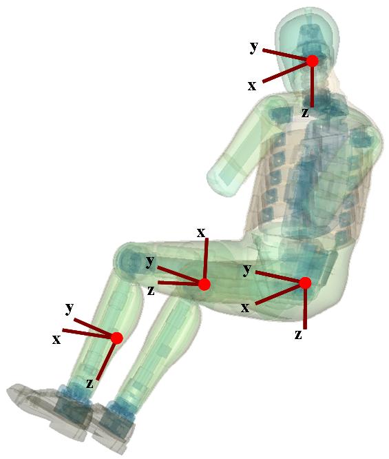 Orientation of the coordinate systems for accelerometers and load cells in the WORLDSID 50th model
