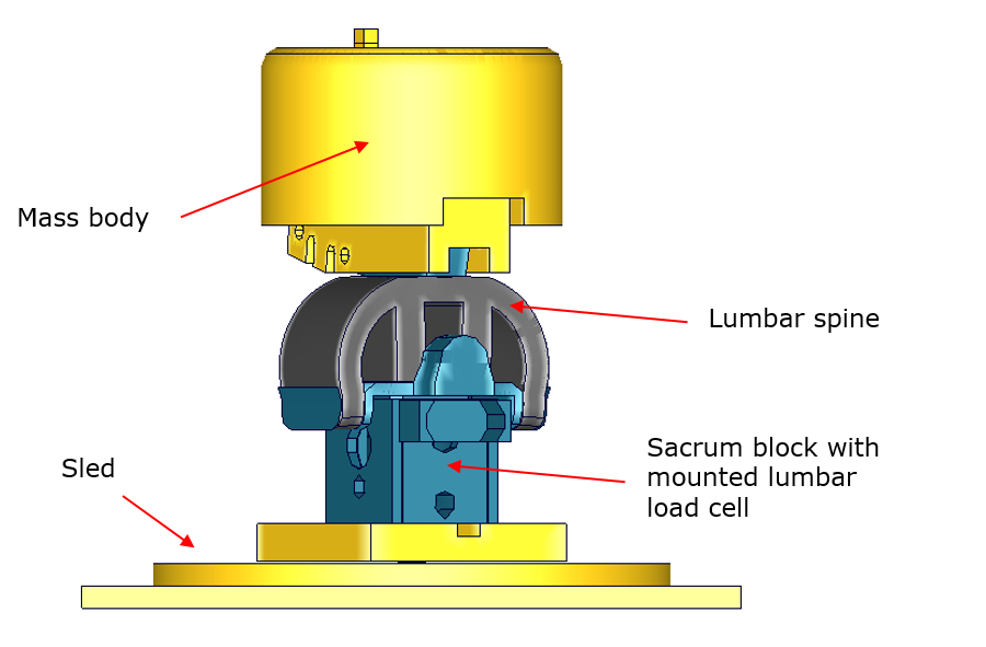 LumbarSpine_Test