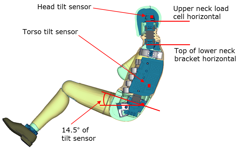 Measurement Pelvis Angle